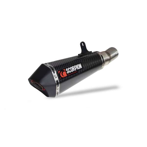 Scorpion Serket Taper Auspuff für BMW M 1000 R 2023-2024 Motorräder